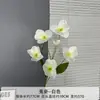 Jin Xi Flor Branca Simulada Diamante Rosa Rosa Hortênsia Decoração de Auditório de Casamento Material Floral Decoração de Sala de Estar em Casa Flor Artificial