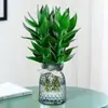 Planta hidropónica de bambú Guan Yin con raíces, planta verde decorativa, bambú de la suerte, planta verde, planta de interior en maceta, bambú de la fortuna con jarrón, fácil de cuidar