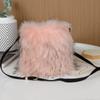 Bolso de Felpa de Piel Sintética de Mapache 2023, Mini Bolso Cruzado Casual a la Moda, Bolso para Teléfono, Bolso para Mujer, Tendencia Transfronteriza