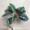 Plantas Verdes Artificiais, Bonsai de Folha Verde, Folhagem em Vaso, Projetos de Jardinagem Externa Estilo Floresta, Arranjos Florais para Casamentos ao Ar Livre, Decoração de Casa