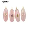 Wt-P2073 Oval Geométrico Redondo de Textura Lisa Lápiz Lazuli Ojo de Tigre Piedra Zirconia de Colores Piedra Incrustada Colgante