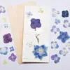 Funda de Teléfono de Resina con Flor de Hortensia, Marco de Fotos con Flor Prensada de Espécimen de Enseñanza Botánica, Materiales de Flores Prensadas, Arte de Flores Prensadas DIY