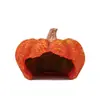 Venta caliente acuario pecera decoración de resina casa refugio adornos calabaza sumergida Halloween paisajismo tanque de cría desove
