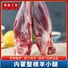 Piernas de Cordero Fresco y Terneras de Cordero de Mongolia Interior Xilin Star Recién Sacrificadas Congeladas Ingredientes para Barbacoa Gran Valor 1.0 kg Cordero