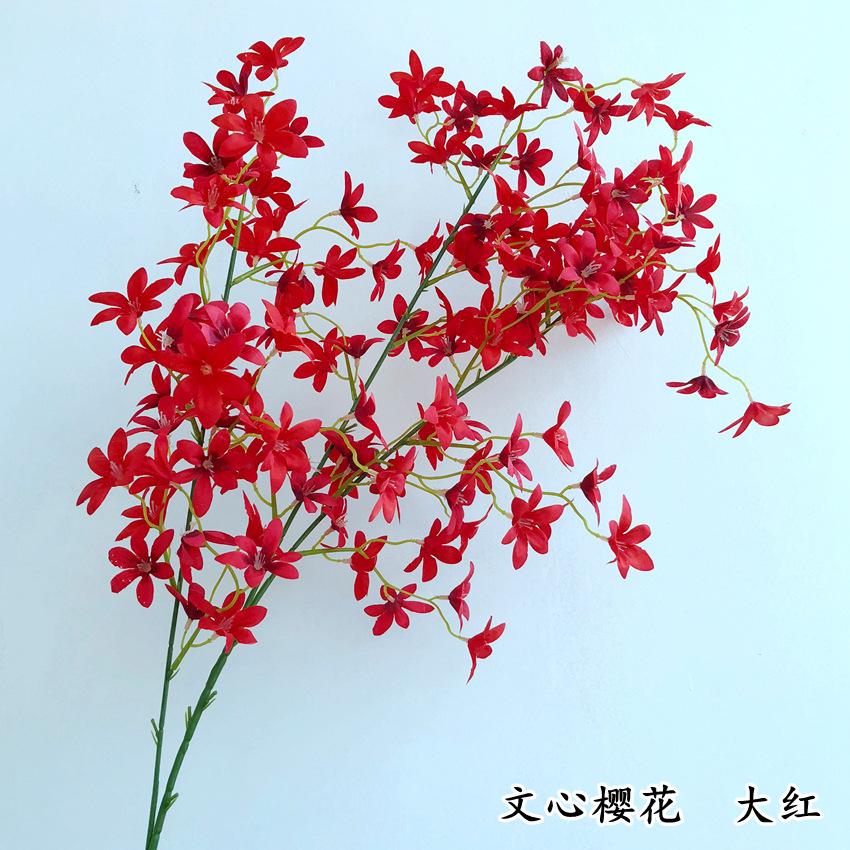 4-1_副本.jpg