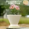 Vaso de Cerâmica para Flores com Prato, Estilo Ins de Luxo Leve, Diâmetro Grande, Estilo Creme, para Orquídeas e Suculentas, Liquidação