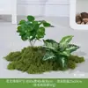 Serie de Nombres de Tres Palabras Set de Paisajismo con Plantas Verdes Artificiales, Combinación de Jardín de Plantas Falsas, Paisajismo Decorativo que Mejora la Atmósfera