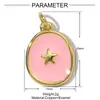 Dados Franceses para el Amor Colgante de Cobre con Circonita DIY Estilo Ins Colgante de Collar Femenino Estrella Cola de Pez Cachorro