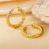 Pendientes de Otoño e Invierno 2024 Moda Elegantes Estéreo de Gama Alta Hebilla de Oreja Hilo Retorcido Anillo Liso Acero de Titanio Femenino con Estilo