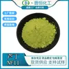 Rutin 95% Rutina Nf11 Vitamina P Extrato de Sophora Japonica em Estoque com Frete Grátis e Qualidade Estável