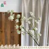 Cola de pavo real artificial, venta al por mayor de flores artificiales para decoraciones de bodas, ramo individual de plástico para sostener en la mano, decoración del hogar y flores en forma de estrella