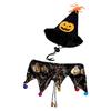 Acessórios de brinquedo de halloween pet filhote de cachorro gato cabeça de abóbora aranha Bell bat chapéu cachecol colarinho conjunto