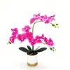 Flor Artificial Phalaenopsis em Vaso Luxo Leve para Interior Sala de Estar Mesa de Jantar Ornamentos Florais Planta Verde Artificial Bonsai Flor Artificial