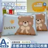 Funda de almohada de seda helada de dibujos animados para niños 40X60 Funda de almohada para bebé Verano Tencel 30X50 Funda de almohada para estudiante de primaria