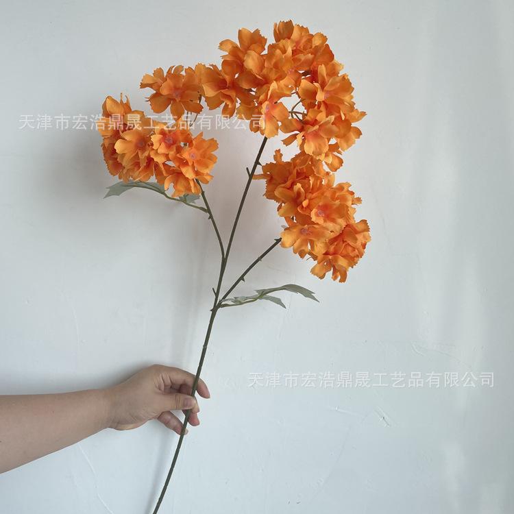 微信图片_202207211439004_副本