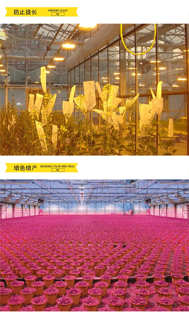 详情页_09.jpg