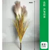 Simulação Junco Cebola Grama Maço Adereços Decoração Arranjo Nórdico Indoor Flor de Simulação Simulação Junco Rabo de Raposa Grama