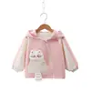 Abrigo para Niña Primavera y Otoño 2026 Nuevo Modelo Niña Pequeña Bebé Otoño Sudadera con Capucha Manga Larga Parte Superior Ropa de Otoño para Niños
