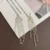 Moda Nova 2024 Brilho Super Cristal Longos Brincos de Franja Coreia do Sul Elegantes Brincos de Celebridade da Internet Exagerados Distintivos para Mulheres