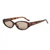 Nuevas Gafas de Sol de Moda Estilo Coreano Retro con Montura Pequeña Ojo de Gato para Hombres y Mujeres, Gafas de Sol de Protección Solar para Exteriores de Moda con un Toque de Alta Gama