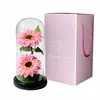 Presentes Exclusivos de Formatura Transfronteiriços: Dois Enfeites de Cúpula de Vidro com Luz Noturna de Girassol, Flores Perfumadas Criativas de Sabão de Natal