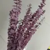 Eucalipto folha redonda grau A eucalipto flor sempre-viva flor dinheiro de cobre prata casa cheia decoração de casa arranjo de flores eucalipto
