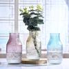 Vaso de Vidro Simples Europeu Criativo Sala de Estar Decoração de Casa Vaso Pequeno Fresco Hidropônico Desktop Ornamentos de Flores