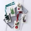 Lihome Fabricante Pastillas de Cera de Aromaterapia Prehechas Bolsa de Aromaterapia para Armario Habitación Baño Aromático Regalo de Año Nuevo Cumpleaños