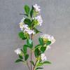 Directo de fábrica simulación de qianlixiang qilixiang Laurel Dorado decoración del hogar arreglo floral adornos flores artificiales lila