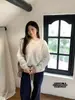 Novedades para otoño e invierno 2026: Suéter de forro polar de pelo largo estilo coreano con cuello redondo, suéter básico versátil de lana para mujer