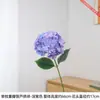Hortênsia pequena de haste única com pétalas duplas e textura realista, visualmente realista, torna uma decoração de vaso de casa marcante e chamativa