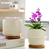 Vaso de Cerâmica para Flores com Prato, Estilo Ins de Luxo Leve, Diâmetro Grande, Estilo Creme, para Orquídeas e Suculentas, Liquidação
