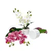 Planta de Vaso de Orquídea Phalaenopsis Artificial Haste Dupla 10 Flores Bonsai Cena de Fotografia Doméstica Arranjo Sensação de Alto Padrão Planta Artificial Verde