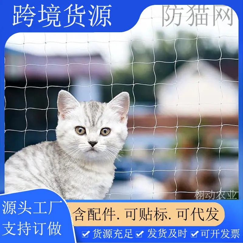 猫网主图新一