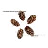 Suprimentos de Natal Material de artesanato Pinus tabulaeformis Local Pine American Slash Pine Natural Pine Cone Dried Fruit Big Pine Cone