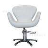 Cadeira Cisne Celebridade da Internet Simples Salão de Beleza Elevatório Banco de Barbeiro Especial para Salão de Beleza Cadeira para Corte de Cabelo Cadeira para Home Office