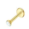 Aretes de Acero Inoxidable con Bisel de Ópalo para Labio Piercing Joyería Hueso de la Oreja Clavo de Nariz Piercing Corporal Pin