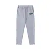 Pantalones de Sudor Trapstar con Estampado de Cabeza de Tigre con Letras Degradadas Arcoíris, Moda Ins, Pantalones Deportivos, Conjunto para Jogging