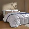 Colcha antibacteriana Clase A para espacio, colcha gruesa cálida de invierno, colcha de primavera y otoño, colcha fresca de verano, estilo same que la del hotel, acolchado suave sin bolitas, colcha con relleno de algodón