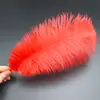 30-35cm Plumas de Avestruz Lámpara de Plumas Arreglo Floral de Plumas de Avestruz Plumas de Boda