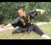 Uniforme de Artes Marciais Dragão Yin-Yang Tai Chi Dragão Bordado Unissex Manga Comprida e Curta Competição de Desempenho em Grupo Traje de Desempenho Tai Chi