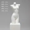 Adereços para Modelos de Lingerie, Manequins de Meio Corpo Femininos e Masculinos, Figuras de Plástico para Exposição de Sutiãs e Roupas Íntimas, Expositores para Vitrines