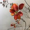 Pequenas folhas artificiais de primavera folhas de outono novo estilo chinês sentir galhos secos folhas de chuva de primavera galhos longos videira seca galhos secos decoração suave janela Floricultura