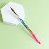 Fornecimento direto da fábrica caneta para unha atacado haste de diamante caneta colorida degradê para escultura 5 caneta de cristal kit de caneta para unha