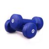 Halteres Revestidos de Plástico para Academia, Uso Comercial e Doméstico, Fabricante Atacadista de Equipamentos de Fitness, Treino de Braço para Construção Muscular, Halteres Coloridos em Várias Especificações
