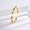 Pulsera de Moda Francesa Retro de Zircón Acero de Titanio Diseño Nicho Temperamento Versátil Simple Color Zircón Pulsera Joyería