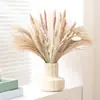 Bouquets de Flores Secas Más Vendidos, Juncos Pequeños, Hierba Cymbidium, Flores de Polvo, Decoración del Hogar para el Día del Maestro, Fábrica de Yunnan