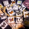 Foto de Espécime de Borboleta Real Porta-Retrato Caixa Transparente Ornamentos Estéreo Presente Ensino de Jardim de Infância Criativo Artesanal Adereços para Fotos