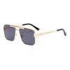 2317 Gafas de Sol Metálicas de Marco Grande de Doble Puente Gafas de Sol Comercio Electrónico Transfronterizo Exportación Amazon Uv400 Tendencia de Moda