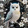 Búho 30*30 Pintura de Diamantes Pintura Decorativa Venta al por Mayor Transfronteriza Paquete de Materiales para Pintura de Pegatinas Irregulares Hechas a Mano
